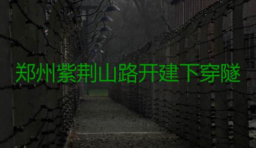 郑州紫荆山路开建下穿隧道 明起围挡为期6个月 开建(河南商报)正文已结束