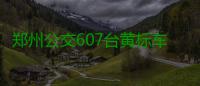 郑州公交607台黄标车下月退出运营