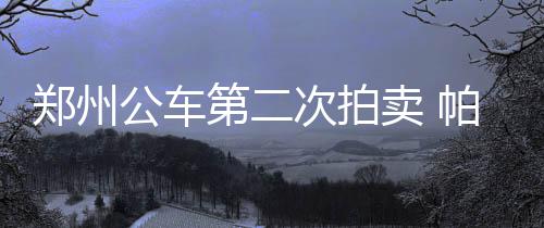 即日起至年底郑州将严查交通违法行为 重点查这些 4.1万元在我心理价位之内