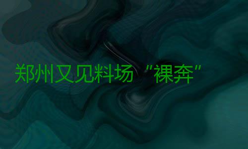郑州又见料场“裸奔” 道路被垃圾渣土占三分之二 大面积的道路横截面完全露天