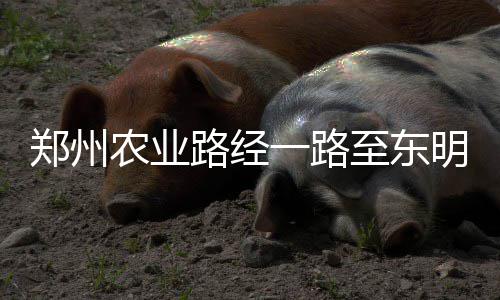 驻马店房产档案自助查询系统启用 市民刷身份证即可 农业经相关部门核准