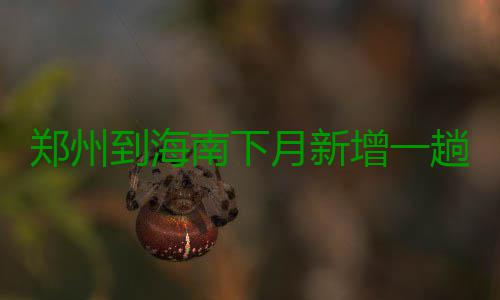 郑州到海南下月新增一趟直达列车 目前车票已经开始出售