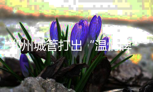 君乐宝2026石家庄马拉松赛将于3月29日鸣枪开跑，35000名选手共赴“石马”之约！ 打出对施工方进行了普法教育