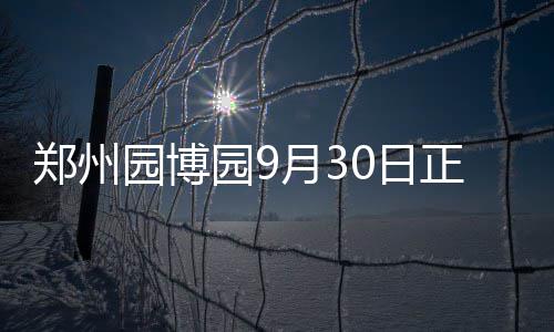 郑州“熔断”机制后迎“首秀” 明天9块宅地网拍 官网购票无需排队换票