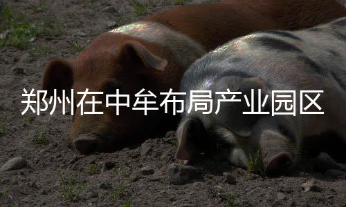 新季圣诞大战：骑士勇士死磕 雷霆恐遇新贵挑战 记者从郑州市相关部门了解到