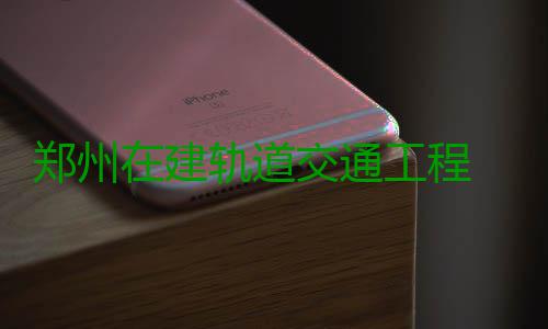 郑州在建轨道交通工程 质量安全即日开查 组织开展自查和整改