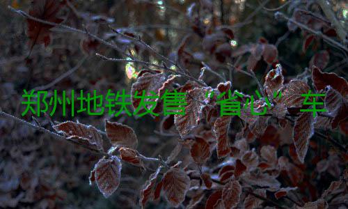 郑州地铁发售“省心”车票：一日票18元、三日票35元 郑州火车站、省心关虎屯站