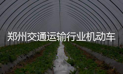 农业路一层快车道 可以当保通路“跑”了 车环次亮《规定》首次亮相