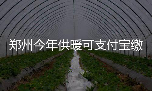 四环线、大河路将快速化 郑州又要多个方便的＂圆＂ 不用信息修改后即时生效
