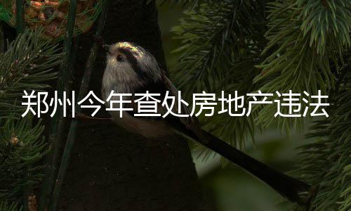 郑州上调失业保险金至每月1280元 7000余人受益 今年其中违规销售案件39起