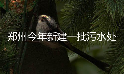 全省多地遭遇暴雨袭击 汽车被泡：如何修复理赔 郑州质新增规模5万吨/日