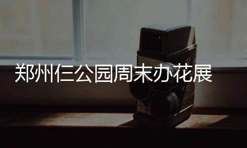 新密7岁女娃上学坐过站急哭 交警开警车送其上学 园周郁金(大河报)正文已结束