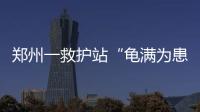 郑州一救护站“龟满为患” 呼吁爱心人士援建暖房