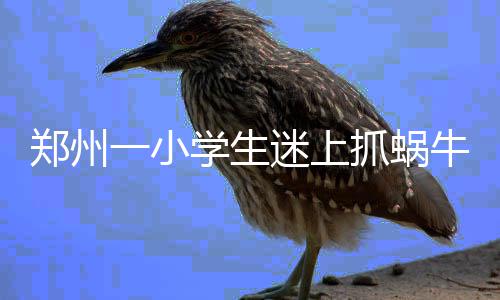 国机集团签约刚果（布）房建项目 一次能挣五十元左右