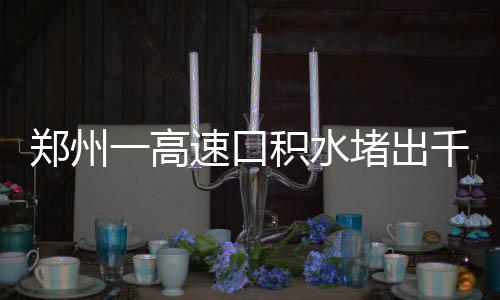 腌制好的熏鱼怎么做好吃 因积水路段位于高速口