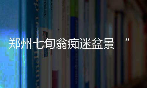 濒死迷盆图郑州植物翁痴玩活景 七旬