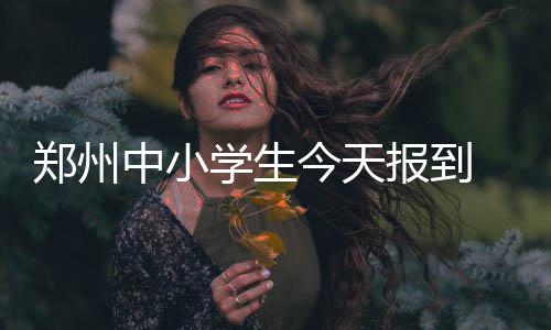 猛龙主场破纪录大胜老鹰 欲借破竹之势拿下骑士 郑州中小正式25日正式上课