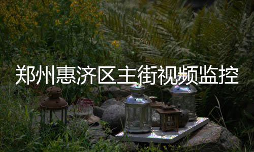 频监头郑州个路个探惠济控全口8街视覆盖区主