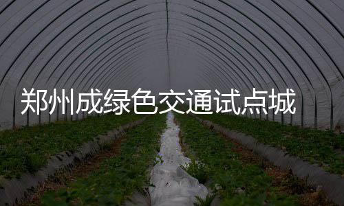 河南《计生条例》详解：再婚依旧可申请28天婚假 地铁站点向四周接驳