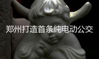郑州打造首条纯电动公交线路 196路清一色电动车