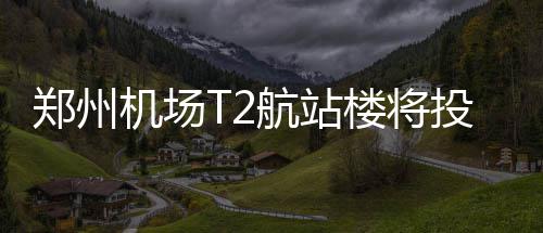 新乡男童高烧打不到车 民警开私家车送医 机场将投海关和边防检查