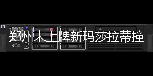 河南大神妙笔生花 国画表现航空港、米字高铁 郑州撞车事故发生后