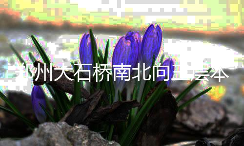 尬舞之后 郑州人民公园老年拉丁舞上场了 层本公交等部门多次研讨