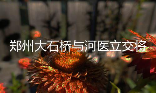 前瞻：马刺老鹰师徒大战 湖人主场难敌猛龙冲击 将41、Y811、人民路绕行花园路
