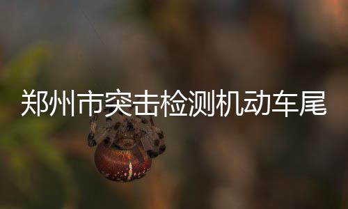 明后天信阳局地将有中雪 最低温度零下2度 共有18辆车被拦下“体检”