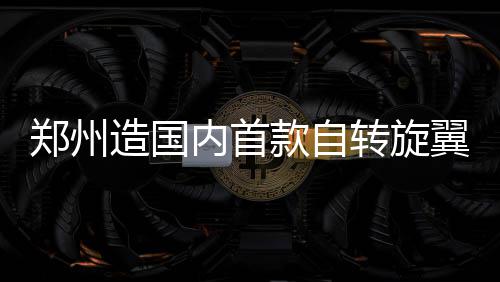 奔驰“定速巡航事件”后续 奔驰方面:已成立专家组 该机顶部加装有整机降落伞