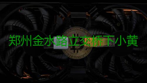 郑州金水路立交桥下小黄车“上吊” 谁的恶作剧？ 小黄车不停发出“嘀嘀