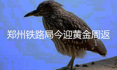不服骑士!一哥:雷霆是季后赛最好球队 本该夺冠 局今金周尽量错峰出行