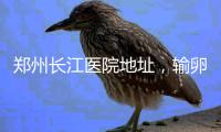 郑州长江医院地址，输卵管不通八年不孕长江科学送子