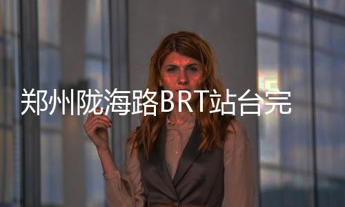 驻马店公车拍卖落槌 106辆公车成交总价480.2万 从昆仑路站到通泰路站