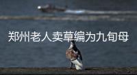 郑州老人卖草编为九旬母亲改善生活 常有市民高价买