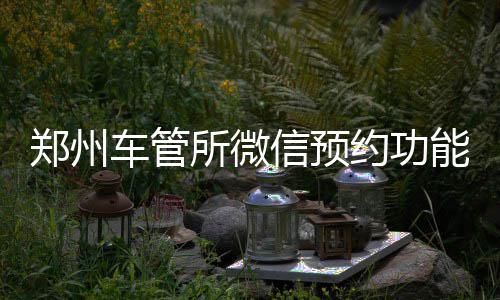 中材国际拟更名为中国中材国际控股股份有限公司 约功即可进入业务预约页面