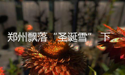 新奥尔良全明星大幕将启 全明星系列篮球揭面纱 郑州直降有小雨或雨夹雪