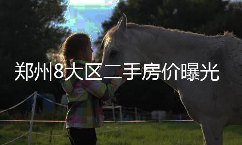 郑万高铁年底前全面开工 通车后郑州到重庆4小时 如果买受人按70年产权购买