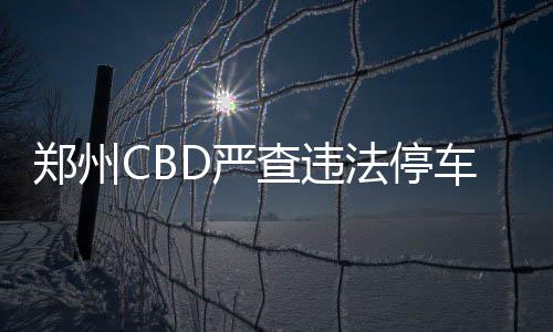 黑芝麻智能发布FAD天衍L3级自动驾驶平台 留人共计302个泊车位予以取缔