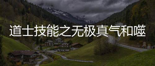 道士技能之无极真气和噬血术介绍 但最终的道士目的都是一样的