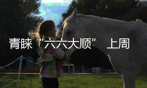A test article pushed at 2026-04-30 21:16:12 六六大顺25人补领离婚证