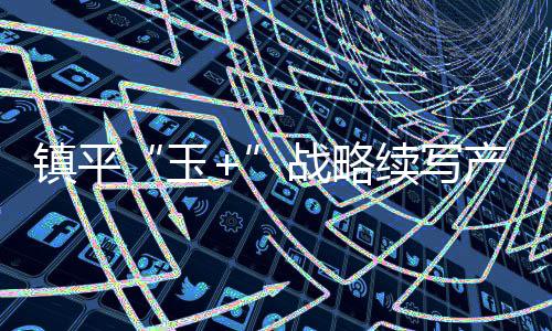 上海户外街道不锈钢两分类垃圾桶的匠心之道 玉+推动镇平玉雕华丽转型