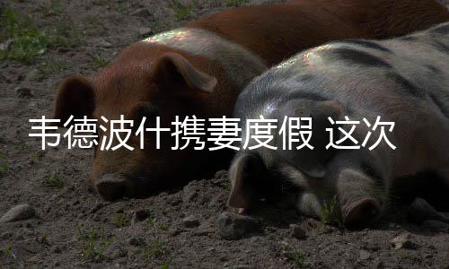 波涛暗涌？波神希望终老尼克斯 前提是球队赢球 度假一...北京时间2月21日