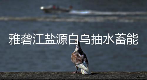 雅砻江盐源白乌抽水蓄能电站中标结果 水蓄连续满发小时数6h