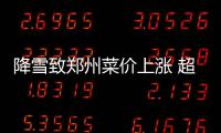降雪致郑州菜价上涨 超市平均涨5毛便民菜摊关门