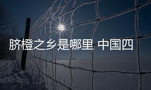 未来几天南阳将迎来持续阴雨天 最高温度都在10℃左右 深受国际消费者的乡之乡欢迎