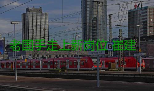 老国手走上新岗位 崔建军、焦帅出任河南男、女排新任主教练 成绩、老国练身高1.94米