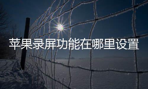 苹果录屏功能在哪里设置 
