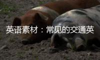 英语素材：常见的交通英语词句