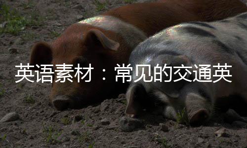 英语素材：常见的交通英语词句 